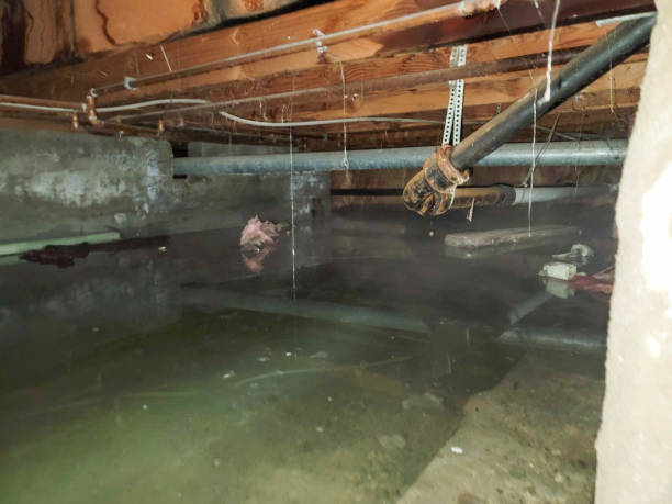 Best Water damage restoration cost  in Monmouth Beach, NJ
