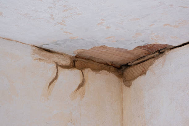 Best Water damage contractors near me  in Monmouth Beach, NJ
