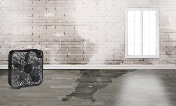 Best Ceiling water damage repair  in Monmouth Beach, NJ