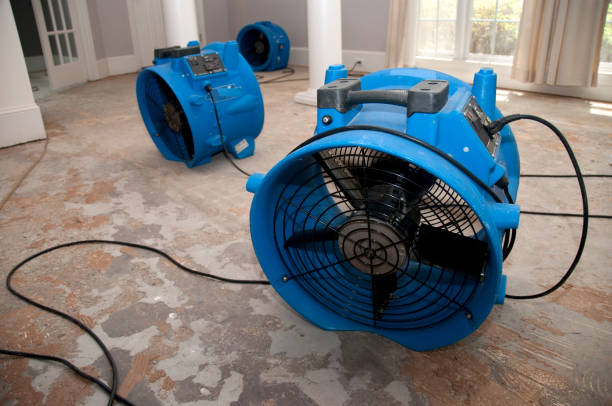 Sewage cleanup and water damage restoration in Monmouth Beach, NJ